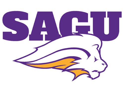 SAGU Master of Arts in Organizational Leadership